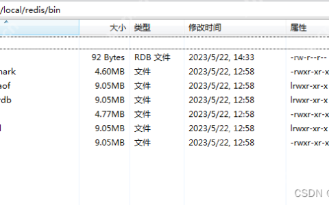 Linux安装部署Redis6.2.5图文教程