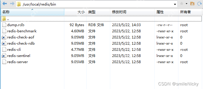 Linux安装部署Redis6.2.5图文教程