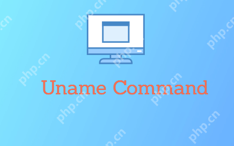 Linux中的uname命令：获取系统内核和操作系统的相关信息