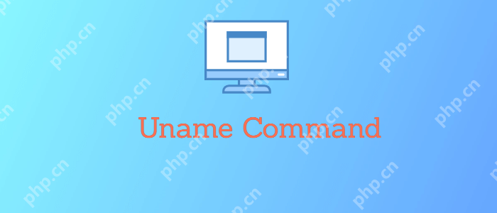 Linux中的uname命令：获取系统内核和操作系统的相关信息