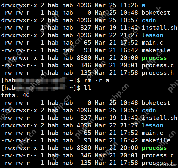 【Linux】想学习Linux不看这一篇你就慢了-->发展背景与基本指令