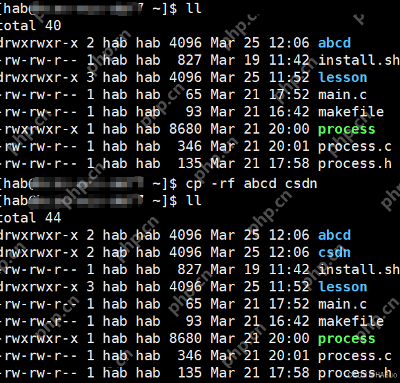 【Linux】想学习Linux不看这一篇你就慢了-->发展背景与基本指令