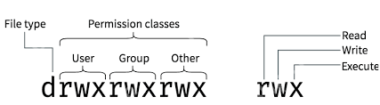 一文带你学习Linux 中的文件权限概念和相关命令