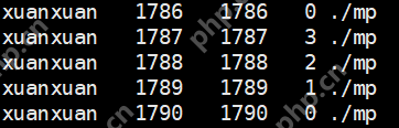 【Linux】多进程高并发设计框架示例