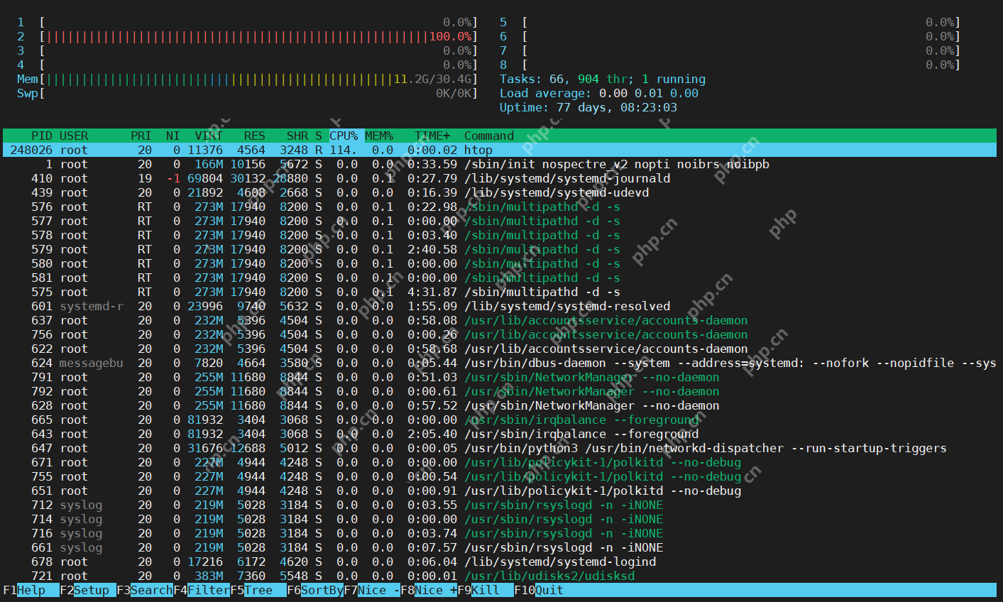 如何在 Linux 中查看正在运行的进程?这三个命令轻松实现!
