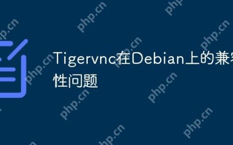 Tigervnc在Debian上的兼容性问题