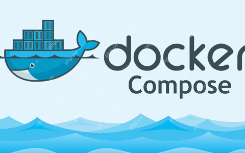 如何使用Docker Compose在容器内运行Linux命令？