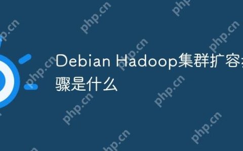 Debian Hadoop集群扩容步骤是什么