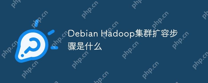 Debian Hadoop集群扩容步骤是什么
