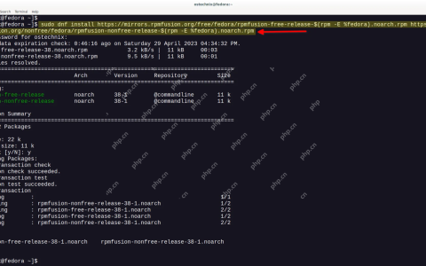 如何在 Fedora、RHEL、AlmaLinux、Rocky Linux 中启用 RPM Fusion 存储库？