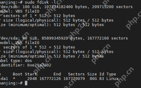 如何在 Linux 服务器上更改分区方案？