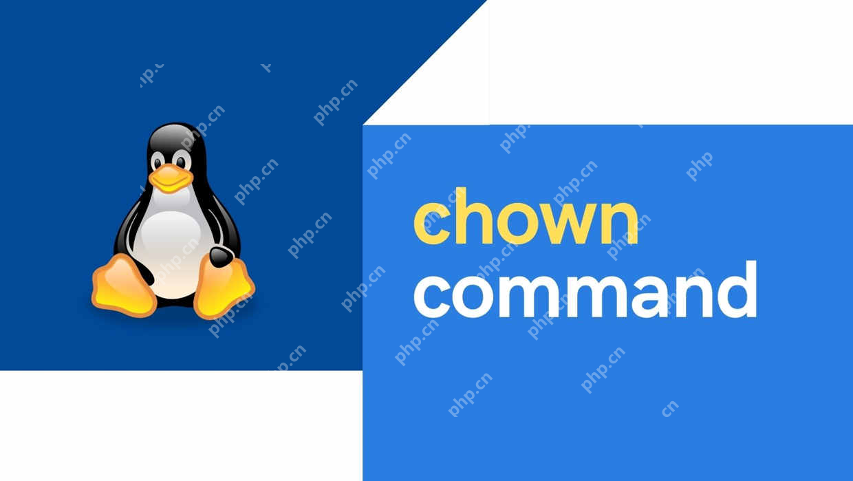 Linux更改文件和目录的所有权经常使用的命令:chown 和 chgrp