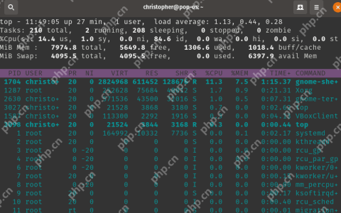 在 Linux 中使用 Top 命令检查和排序 CPU 使用率？
