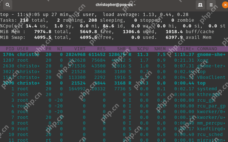 在 Linux 中使用 Top 命令检查和排序 CPU 使用率?