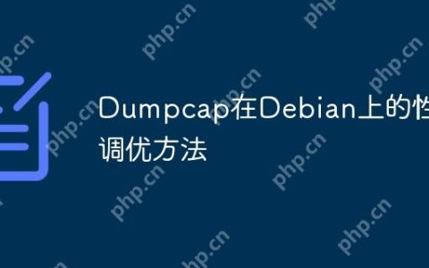 Dumpcap在Debian上的性能调优方法