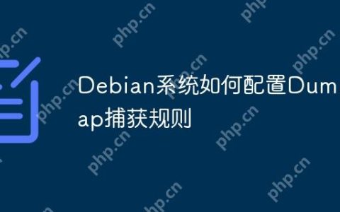 Debian系统如何配置Dumpcap捕获规则