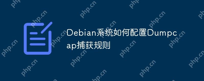Debian系统如何配置Dumpcap捕获规则