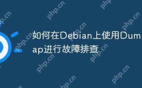 如何在Debian上使用Dumpcap进行故障排查