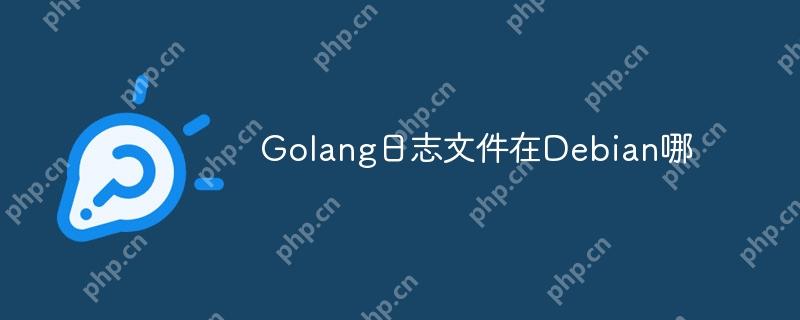 Golang日志文件在Debian哪