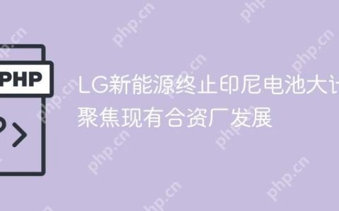 LG新能源终止印尼电池大计 聚焦现有合资厂发展
