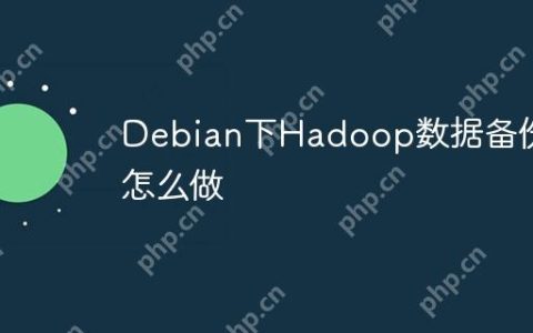 Debian下Hadoop数据备份怎么做