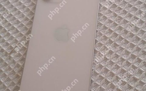 苹果手机如何从AppStore安装应用（详细步骤）