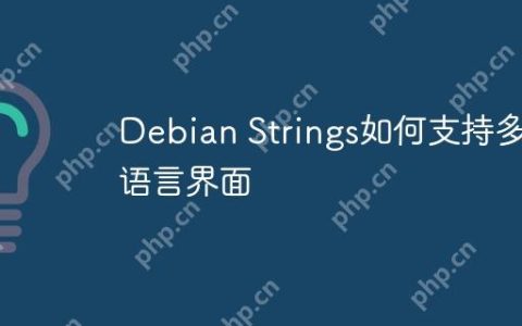 Debian Strings如何支持多语言界面