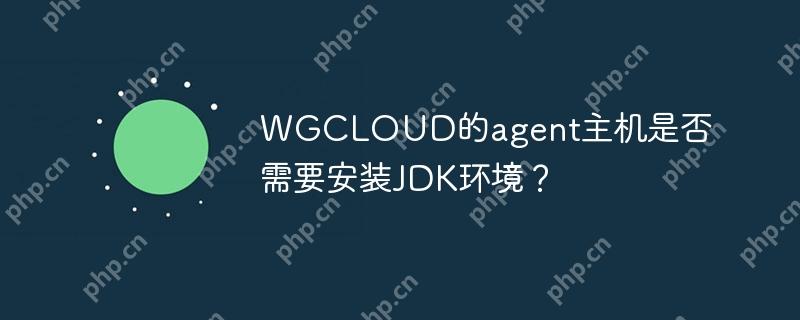 wgcloud的agent主机是否需要安装jdk环境?