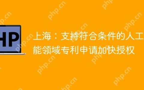 上海：支持符合条件的人工智能领域专利申请加快授权