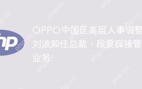 OPPO中国区高层人事调整：刘波卸任总裁，段要辉接管业务