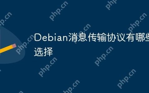 Debian消息传输协议有哪些选择