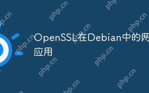 OpenSSL在Debian中的网络应用
