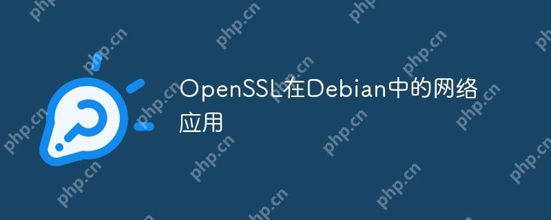 openssl在debian中的网络应用