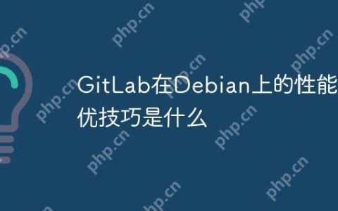 GitLab在Debian上的性能调优技巧是什么