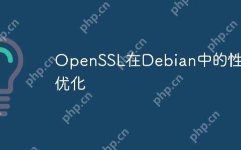 OpenSSL在Debian中的性能优化