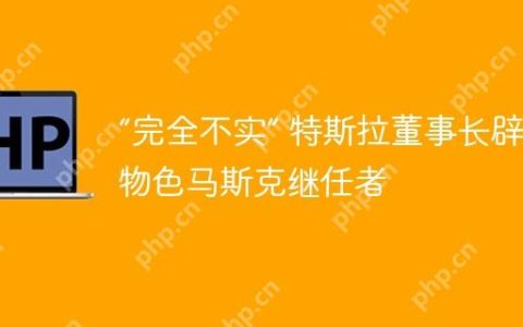 “完全不实” 特斯拉董事长辟谣物色马斯克继任者