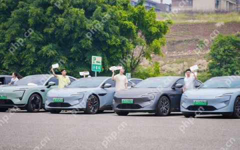 “宠客”出击！阿维塔志愿者免费接驳游客直达荣昌