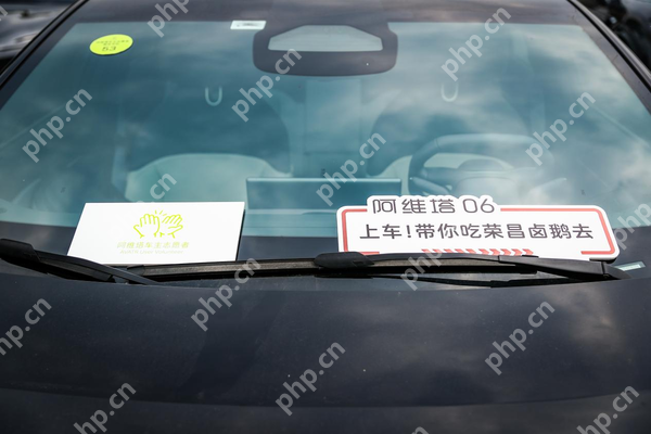 “宠客”出击!阿维塔志愿者免费接驳游客直达荣昌