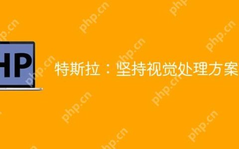 特斯拉：坚持视觉处理方案