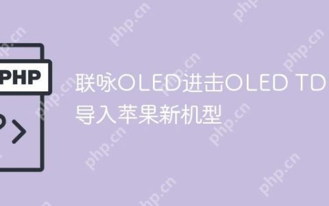 联咏OLED进击OLED TDDI  导入苹果新机型