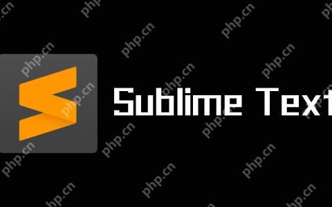 验证SublimeText插件安全性的有效途径
