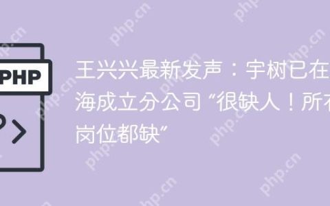 王兴兴最新发声：宇树已在上海成立分公司 “很缺人！所有岗位都缺”