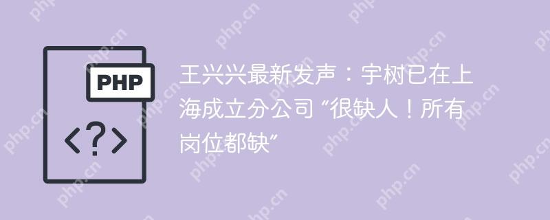 王兴兴最新发声:宇树已在上海成立分公司 “很缺人!所有岗位都缺”