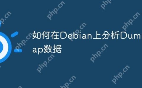 如何在Debian上分析Dumpcap数据