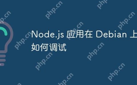 Node.js 应用在 Debian 上如何调试