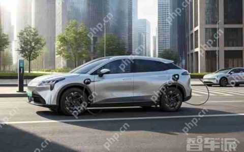 国际能源署：预计今年全球电动车销量将突破2000万辆