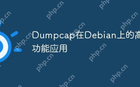 Dumpcap在Debian上的高级功能应用