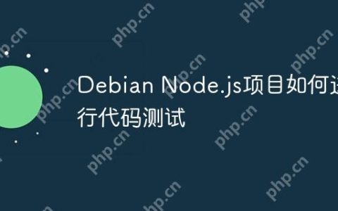 Debian Node.js项目如何进行代码测试
