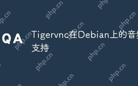 Tigervnc在Debian上的音频支持
