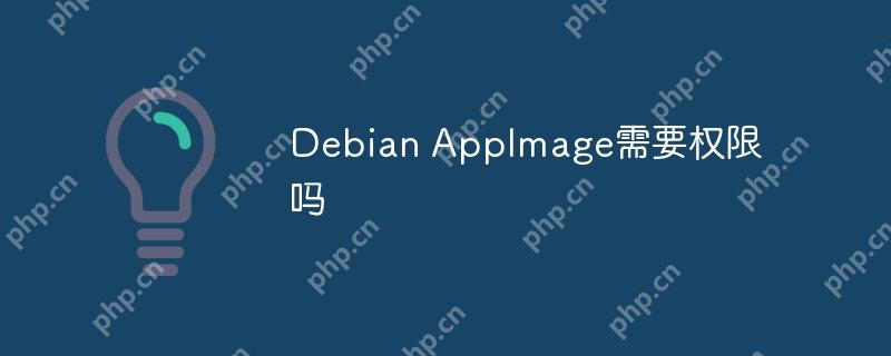 Debian AppImage需要权限吗